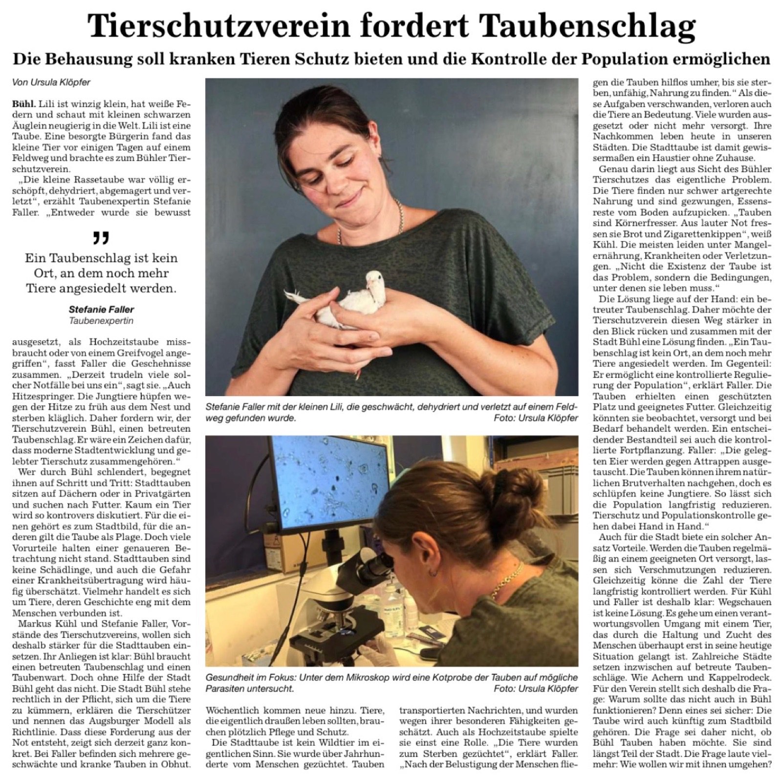Zeitungsartikel der BNN: Tierschutzverein fordert Taubenschlag