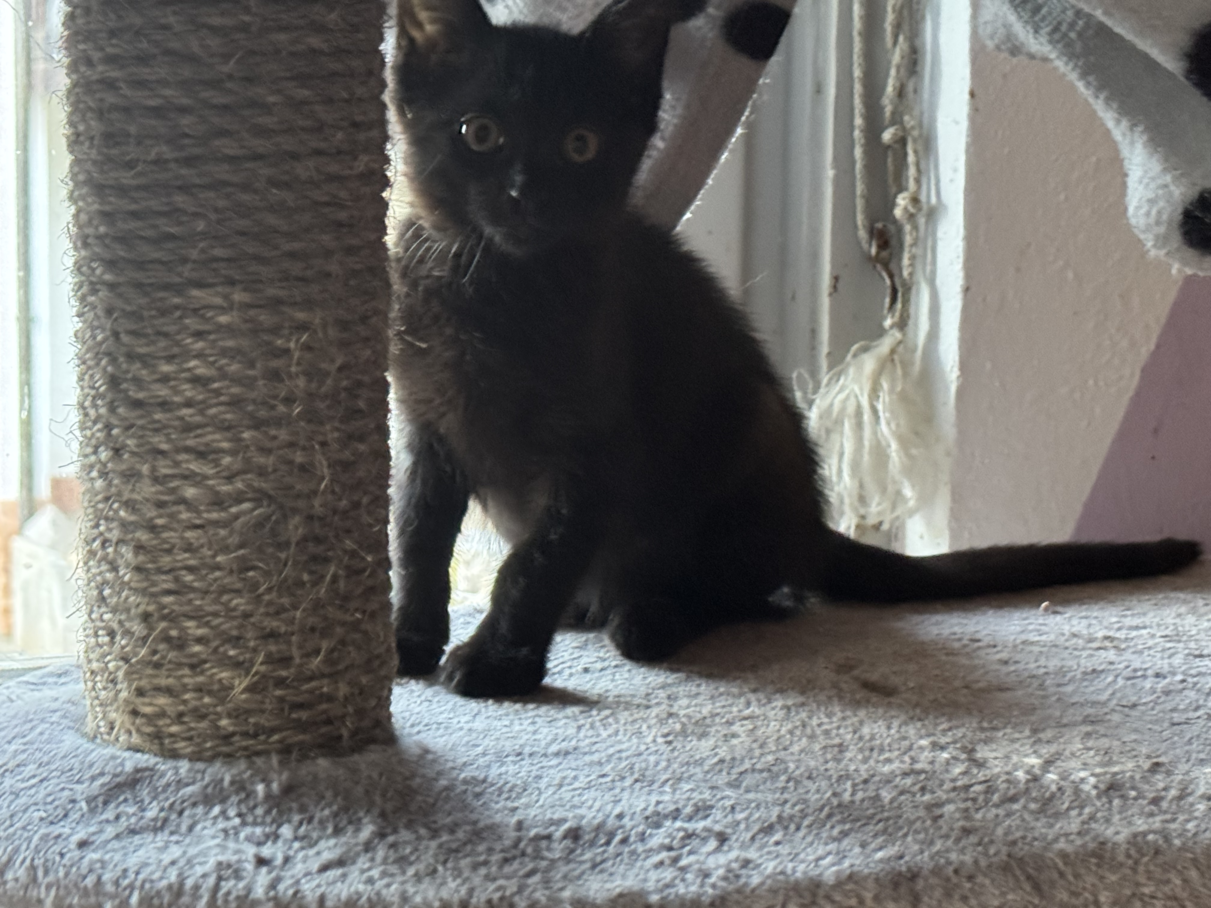 Luna